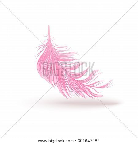 Pink Swirled Feather Close Up 3d Realistic Vector Isolated On White Background.
