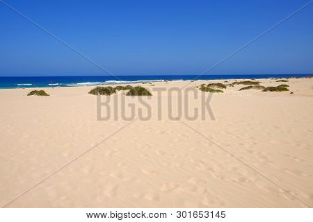Sand Dunes And Beach In National Park Corralejo, Fuerteventura, Canary Islands, Spain.