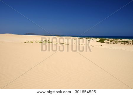 Sand Dunes And Beach In National Park Corralejo, Fuerteventura, Canary Islands, Spain.