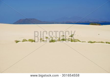 Sand Dunes And Beach In National Park Corralejo, Fuerteventura, Canary Islands, Spain.