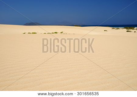 Sand Dunes And Beach In National Park Corralejo, Fuerteventura, Canary Islands, Spain.