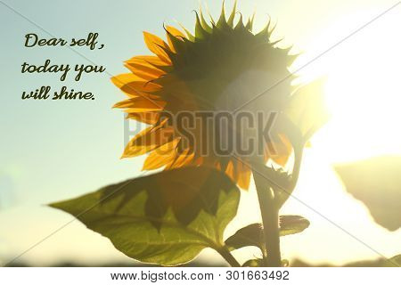 Inspirational Motivational Quote With Nature- Dear Self, Today You Will Shine. With Soft Sunflower B