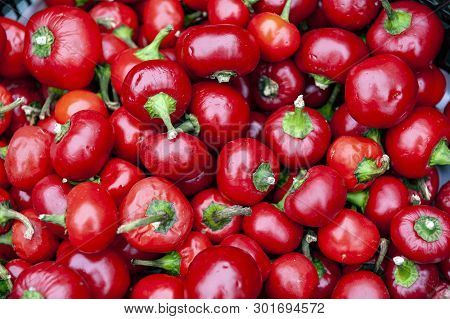 Fresh Cherry Ball Peppers, Pimento Or Red Sweet Chilli Peppers Sold At Market