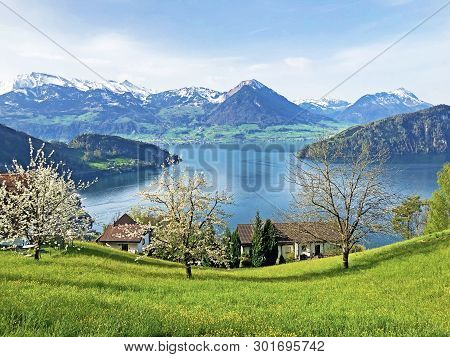 View Of Lake Lucerne Or Vierwaldstaetersee With Vitznau Settlement And Swiss Alps In The Background 