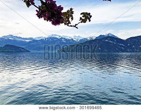A View Of The Lake Lucerne Or Vierwaldstaetersee And Swiss Alps From The Vitznau Settlement - Canton