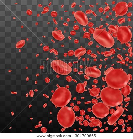 Red Blood Cell Flowing In Vein Or Artery. Vector Illustration On Transparent Background. Healthcare 