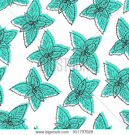 Seamless Pattern With Leaves Mint. Hand Drawn Black Line Plant On White Background With Green.