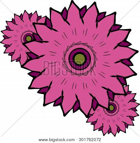 Vector Illustration With Three Beautiful Pink Flowers