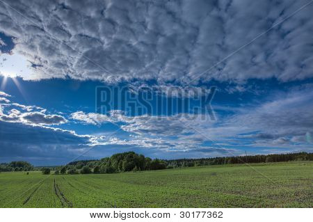 Nuages sombres sur Meadow