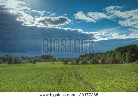 Nuages sombres sur Meadow