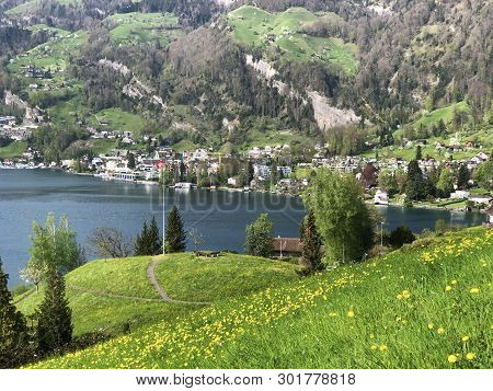 View Of The Vitznau Settlement On The Shore Of Lake Lucerne Or Vierwaldstaetersee - Canton Of Lucern