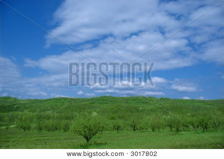 Apple Hills