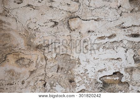 The Old Broken Wall And Brick.