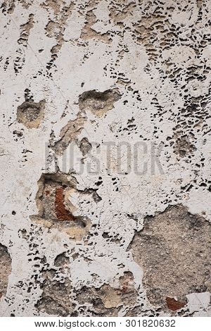 The Old Broken Wall And Brick.