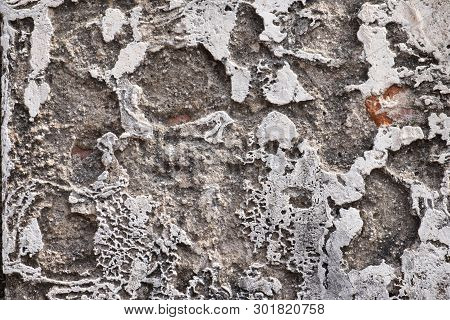 The Old Broken Wall And Brick.