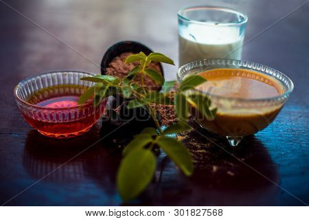 Face Mask Of Devil's Dung Powder On Wooden Surface I.e. Hing Powder Well Mixed With Honey And Milk.u