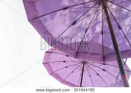 Double Purple Big Umbella On White Background