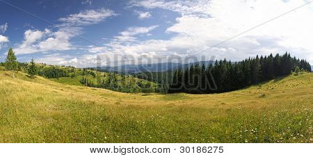 Sommer Karpaten, ukraine
