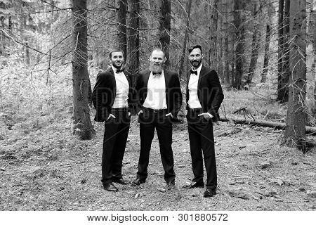Three Business Partners In The Woods.eco Friendly And Sustainabl . Black And White Photo