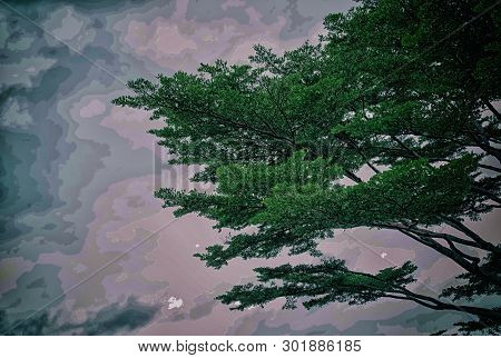 The Abstract Art Design Background Of Beautiful Branches And Green Leaver Of Big Tree With Sky Backg