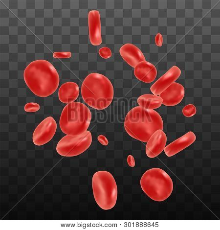 Red Blood Cell Flowing In Vein Or Artery. Vector Illustration On Transparent Background. Healthcare 