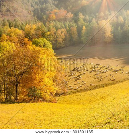 Autumn Landscape In Central Germany, Toned Image