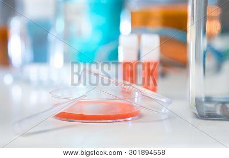 Plastic Dish With Cell Culture Medium, Shallow Dof, Background Out Of Focus