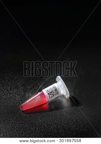 Thawing Cryosample Taken Out Of Cryostorage On Dark Background, Text Space