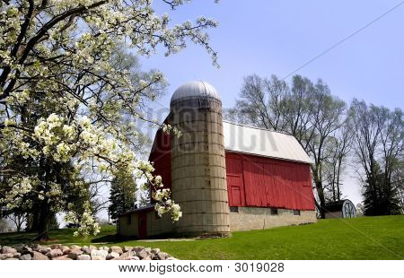 Barn