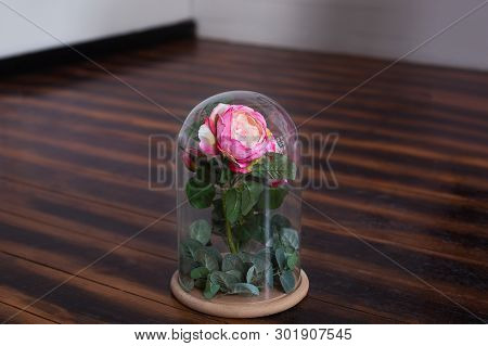 Long-lasting Rose In A Flask, In A Glass Dome, Stabilized, A Gift.  Live Rose In A Glass Flask. Pres