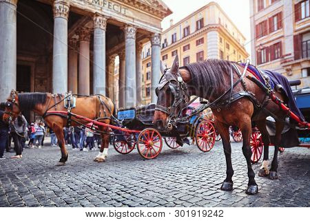 Rome, Italy. Horse in harness with coach for entertaining touristic strolls and city tours at Rotunda square (Piazza della Rotonda) in front of Pantheon ancient roman building with columns.
