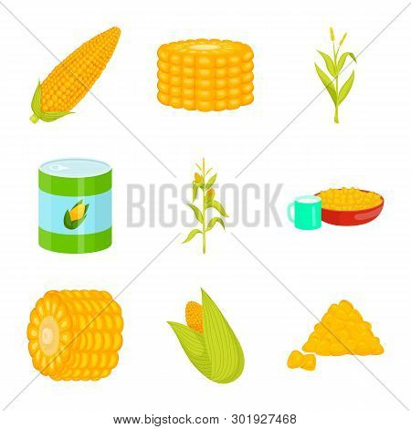 Vector Design Of Maize And Food Icon. Collection Of Maize And Crop Stock Vector Illustration.