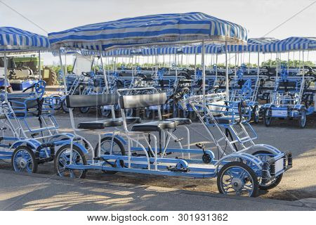 Rent Of Bicycles. Tours, Bird Watching, Park Excursion. Active Rest And Recreation In Agamon Hula, I