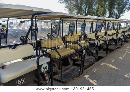 Rent Of Bicycles. Tours, Bird Watching, Park Excursion. Active Rest And Recreation In Agamon Hula, I