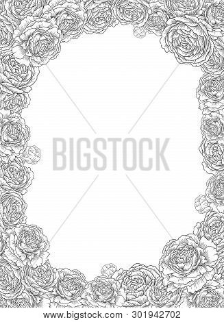 Decorative Frame With Flowers, Roses, Peonies. Elegant And Stylish Template For Text. Vector Illustr