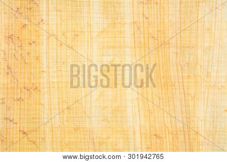 Real Egyptian Papyrus Paper Background And Texture 22, Close-up Macro.