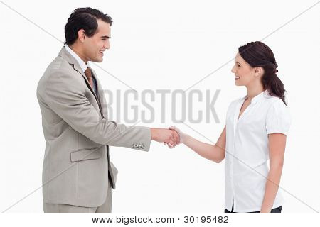 Side view of salespeople shaking hands against a white background