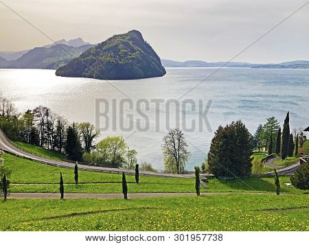 Isolated Mountain Bürgenberg (buergenberg Or Burgenberg) And The Top Of Bürgenstock (buergenstock Or