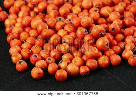 Red Hawthorn Fruit, On Black Background
Medicinal Fruit Red Hawthorn, Alternative Medicine And Hawth
