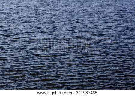 Light Playing On The Sea Surface. Water Surface. Sea Surface. Water Background. Blue Water Surface. 