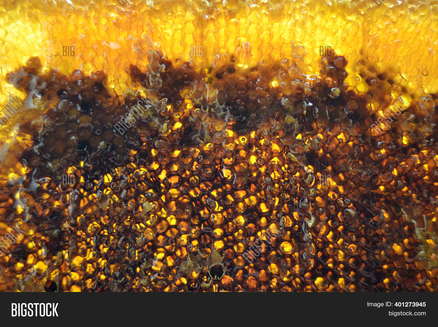 Drop Bee Honey Drip Image & Photo (Free Trial) | Bigstock