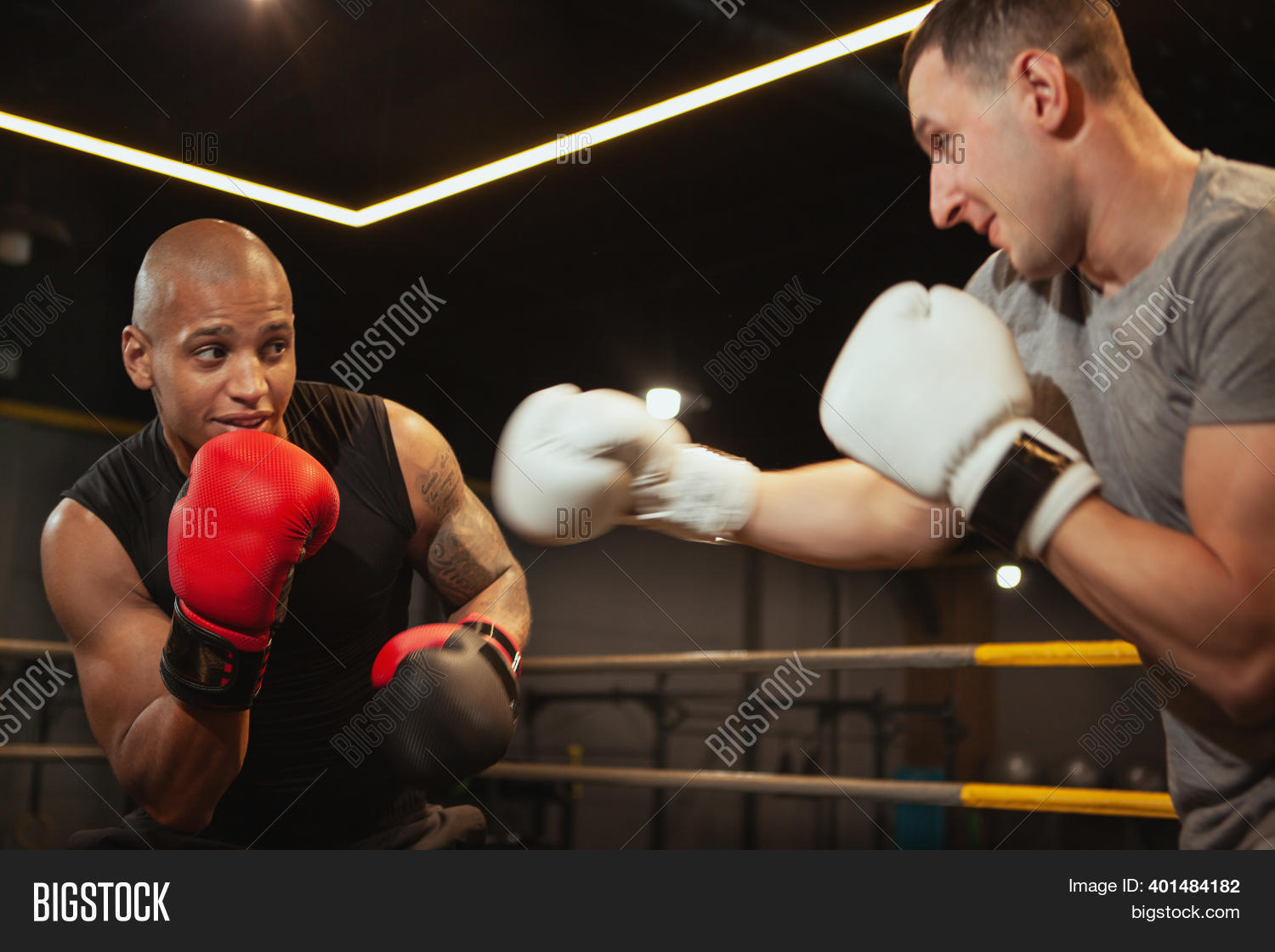 Two Men Boxing Gym. Image & Photo (Free Trial) Bigstock