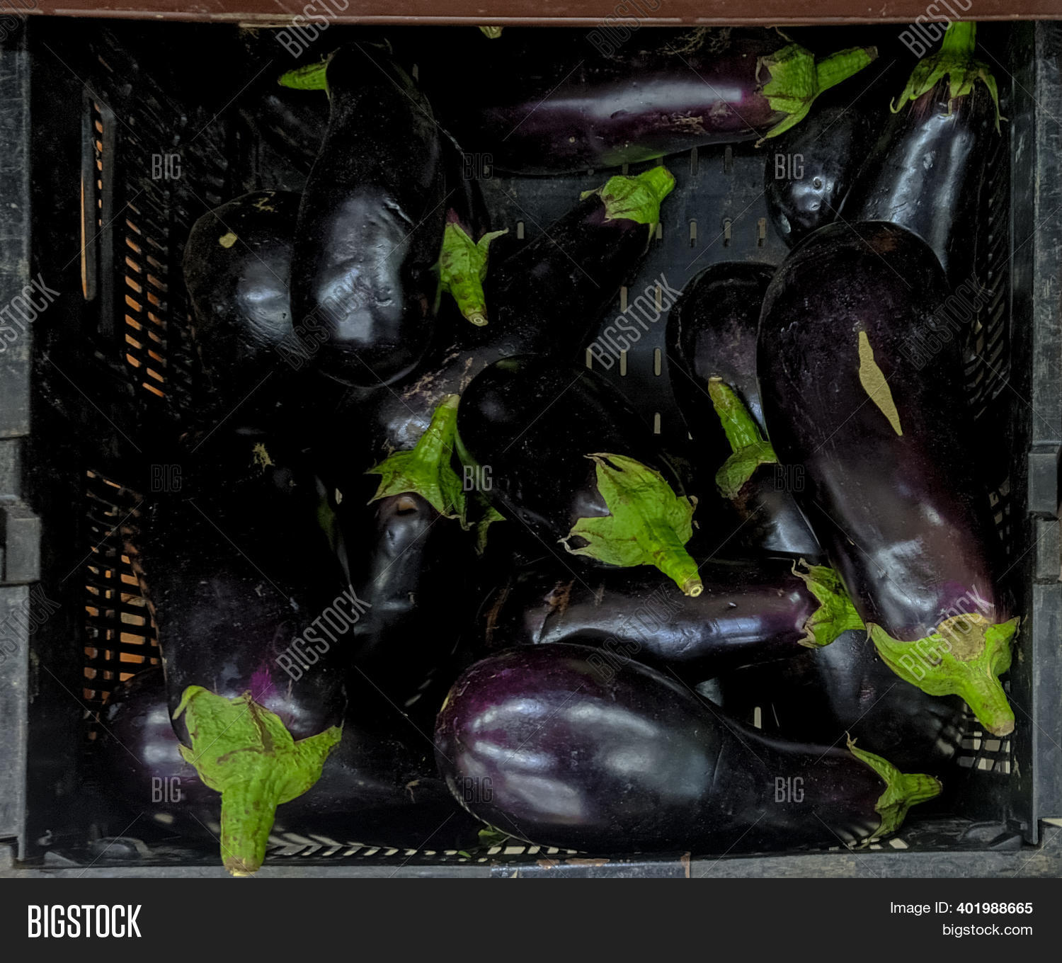 Collection Eggplant Image & Photo (Free Trial) Bigstock