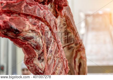 Chopped Beef Carcasses. Overhead Conveyor For Cow Carcasses, Meat Production.