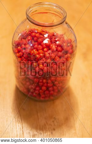Manufacturer Of Tincture Of Mountain Ash. Rowan Berries In A Glass Jar. Vodka Poured Red Berries.