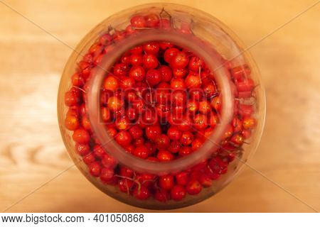 Manufacturer Of Tincture Of Mountain Ash. Rowan Berries In A Glass Jar. Vodka Poured Red Berries.