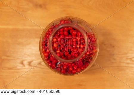Manufacturer Of Tincture Of Mountain Ash. Rowan Berries In A Glass Jar. Vodka Poured Red Berries.