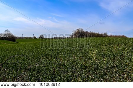 Beautiful Clouds In A Blue Sky In A Northern European Agriclutural Landscape