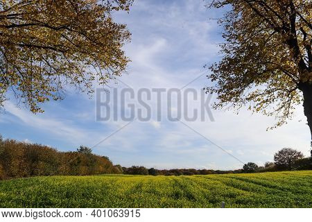 Beautiful Clouds In A Blue Sky In A Northern European Agriclutural Landscape