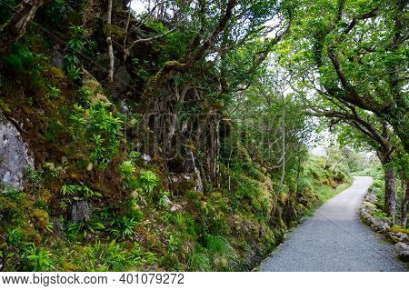Glenveagh National Park, Donegal In Northern Ireland. Beautiful Rough Landscape With Green Moss Fore